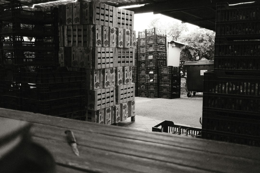 Grossiste destockage alimentaire