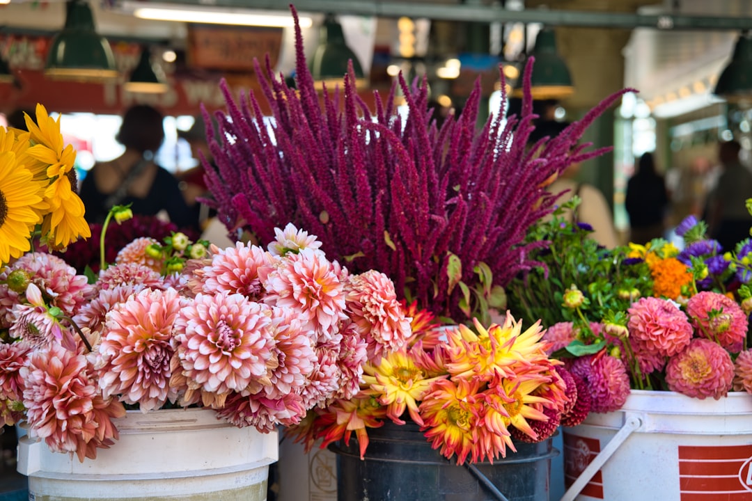 Grossiste fleuriste en ligne
